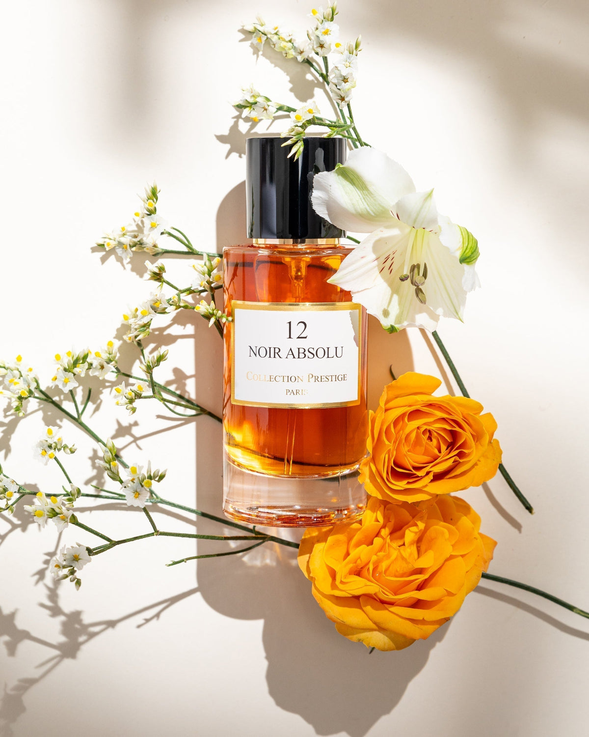 NOIR ABSOLU N°12