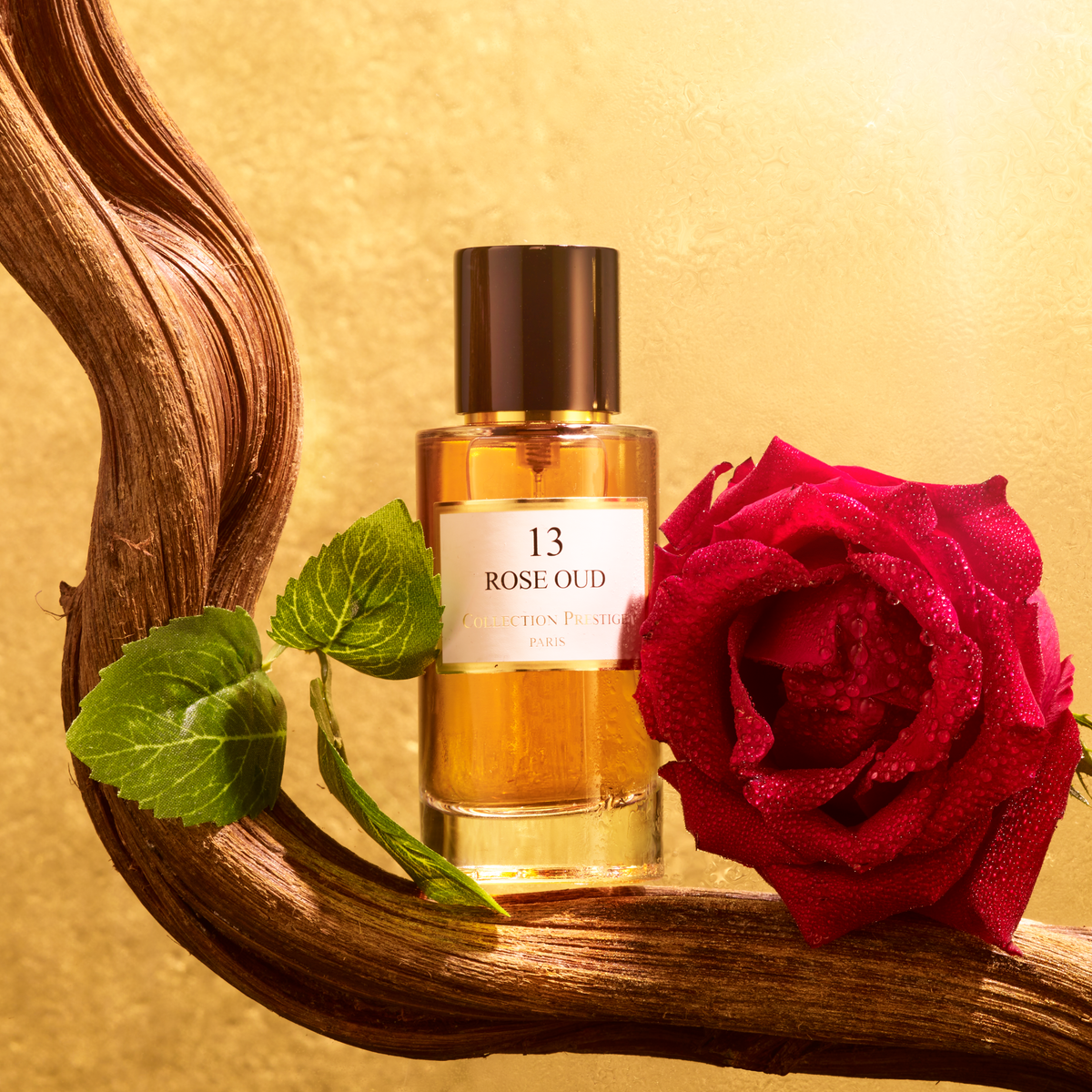 ROSE OUD N°13