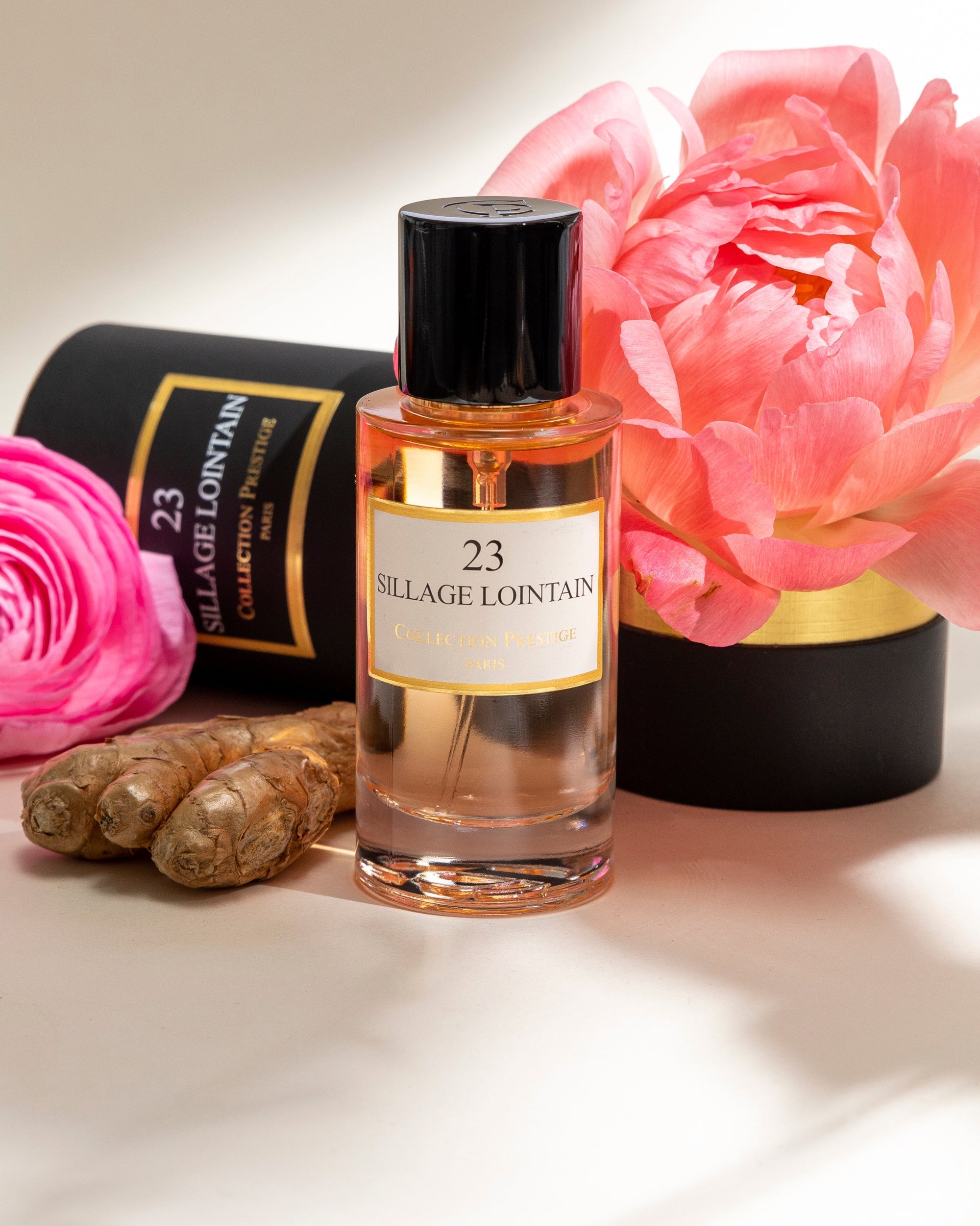 SILLAGE LOINTAIN N°23